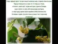 Честит Еньовден