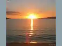 Джулай морнинг