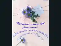 Честит имен ден Антония!
