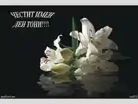 Честит Имен Ден Тони!