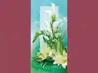 Честит Празник !