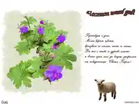 Честит Имен Ден