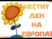 Европейско цвете