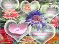 Обичам те силно!