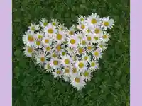 Valentines-Day!!! Честит Свети Валентин!