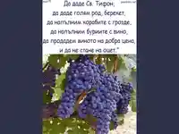 Честит Трифонов Ден!