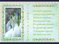 Туй кокиче подранило и за пролет възвестило!