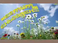 Честит Еньовден!