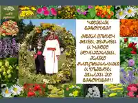 Венец от билки.