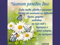 Честит рожден ден с букет от маргаритки