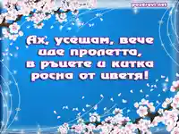 Пролет - ЕЛИН ПЕЛИН