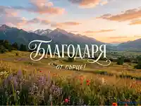 "Благодаря от сърце!" на фона на живописен планински залез с поле от диви цветя.