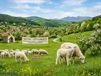 Гергьовден в Родопите: Стадо овце в пролетна ливада с църква и село.