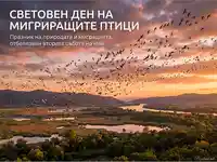 Световен ден на мигриращите птици: Впечатляващ залез с ято птици над река и езера.