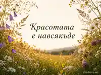 Златна ливада с диви цветя и надпис „Красотата е навсякъде“