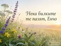 Еньовденска утрин с билки, роса и нежно послание за Енчо