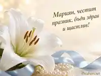 Бяла лилия и нежно послание за Рождество Богородично