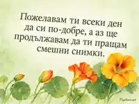Бързо оздравяване с акварелни латинки и обещание за смешни снимки