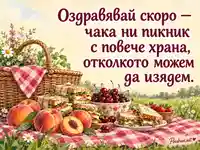 Оздравявай скоро — весел пикник с кошница, сандвичи и плодове
