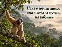 Международен ден на гибоните – горска песен сред утринна мъгла